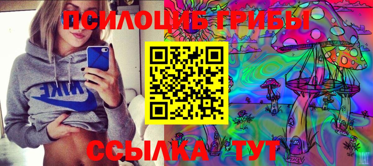 Ефремов  Псилоцибиновые грибы Cubensis  Галлюциногенные грибы мухоморы  Вход с VPN 