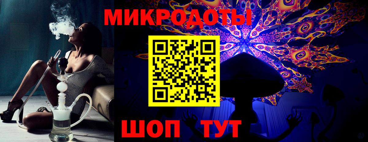 Псилоцибиновые грибы Cubensis Ефремов